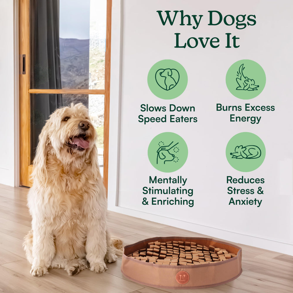 Reggie Snuffle Mat interior loops texture promotes mental stimulation and curiosity.