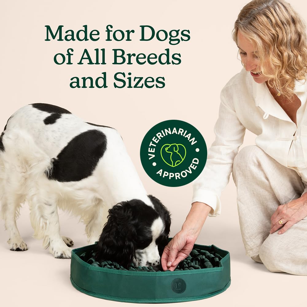 Reggie Snuffle Mat uses easy-clean materials for quick upkeep.