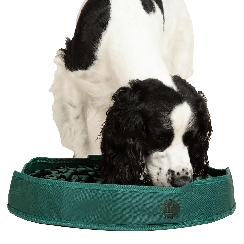 Reggie Snuffle Mat with foraging loops boosts scent work and engagement.