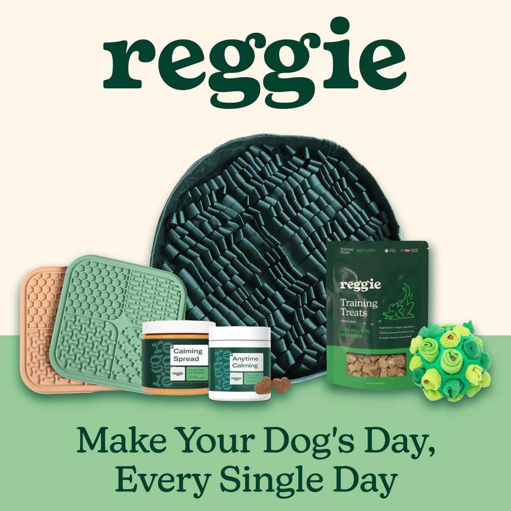 Reggie Snuffle Mat blends with home decor while promoting activity.