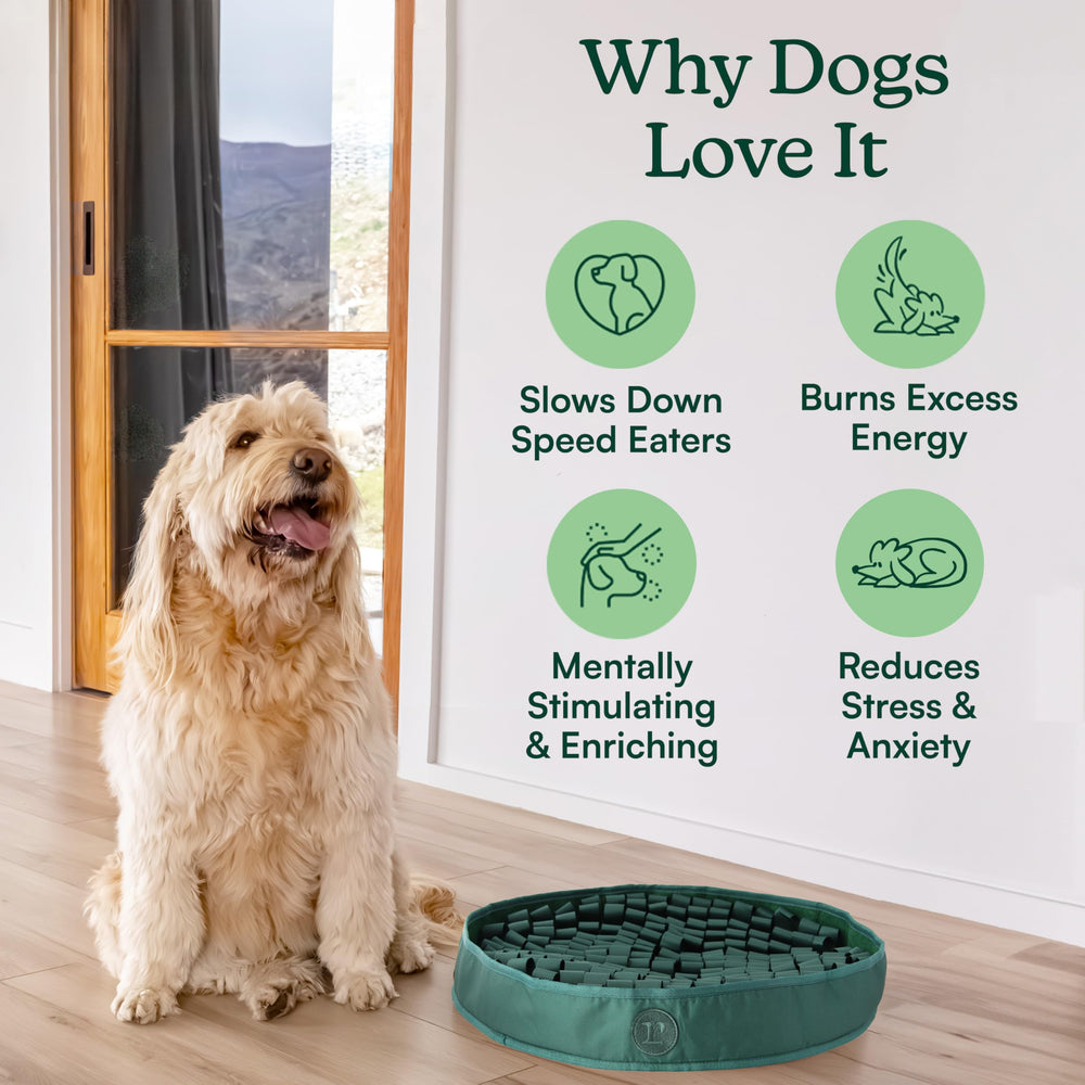 Reggie Snuffle Mat in hunter green adds enrichment at home.