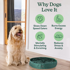 Reggie Snuffle Mat in hunter green adds enrichment at home.
