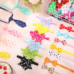 Reginary adjustable dog and cat collars demonstrate easy fit and comfort