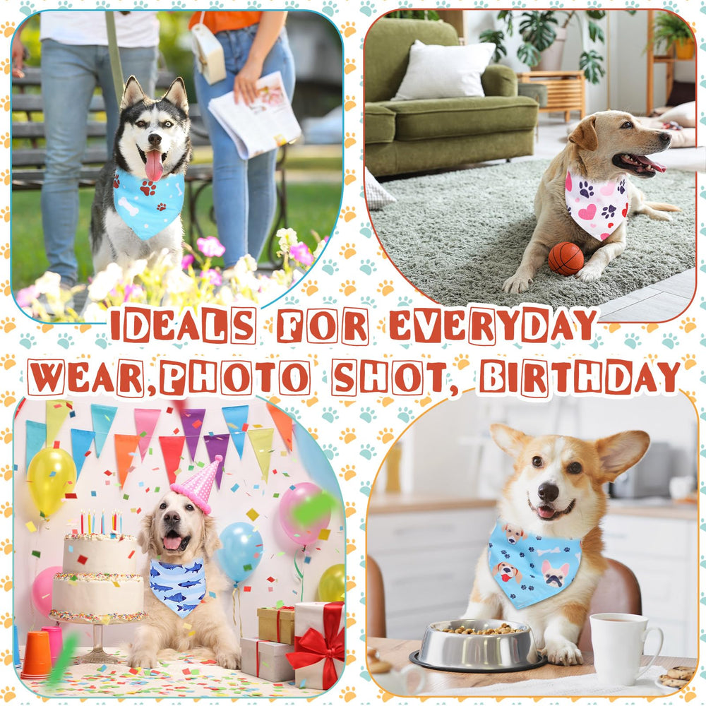 Reginary bandanas suitable for walks, parties, photoshoots, and events.