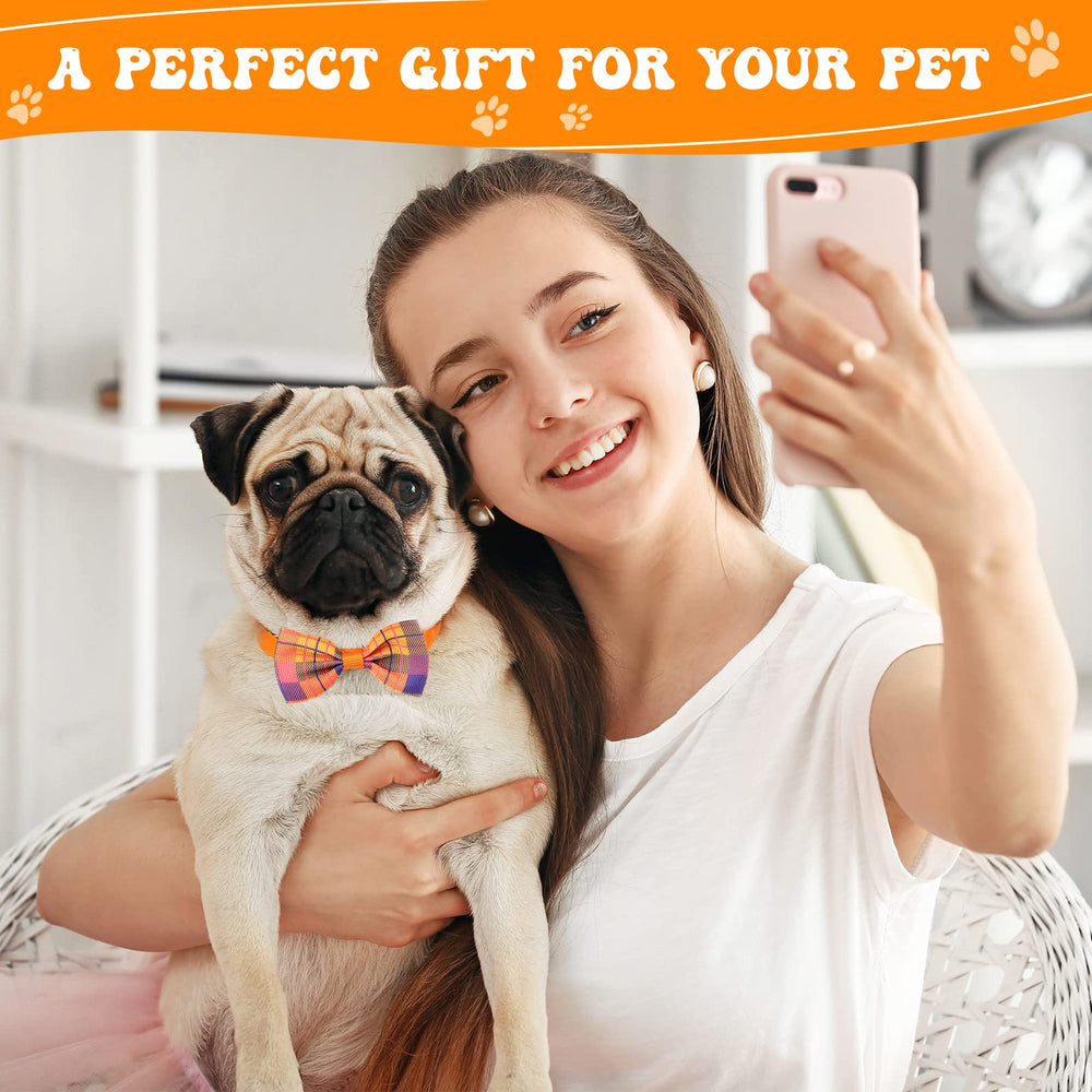 Reginary collar flower accessory adds decorative flair