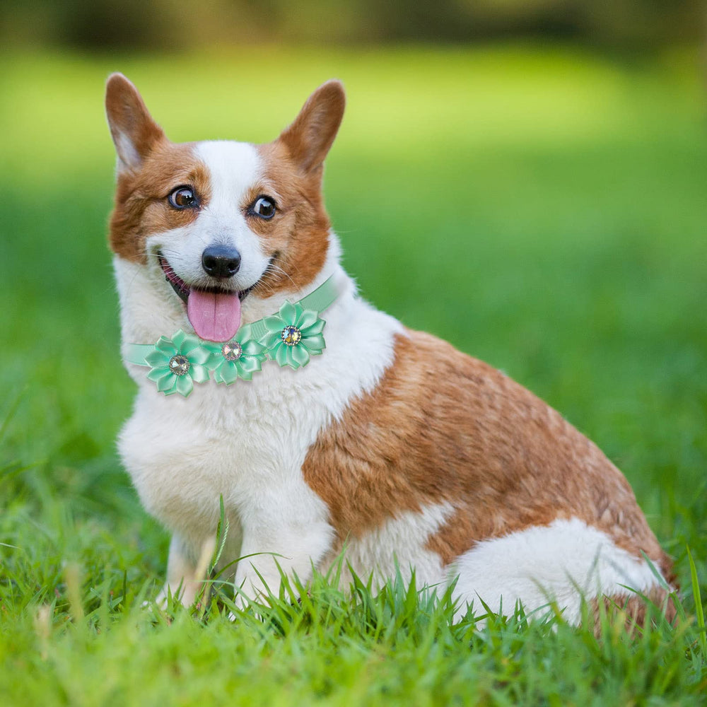 Reginary diamond crystal center enhances the floral collar design.