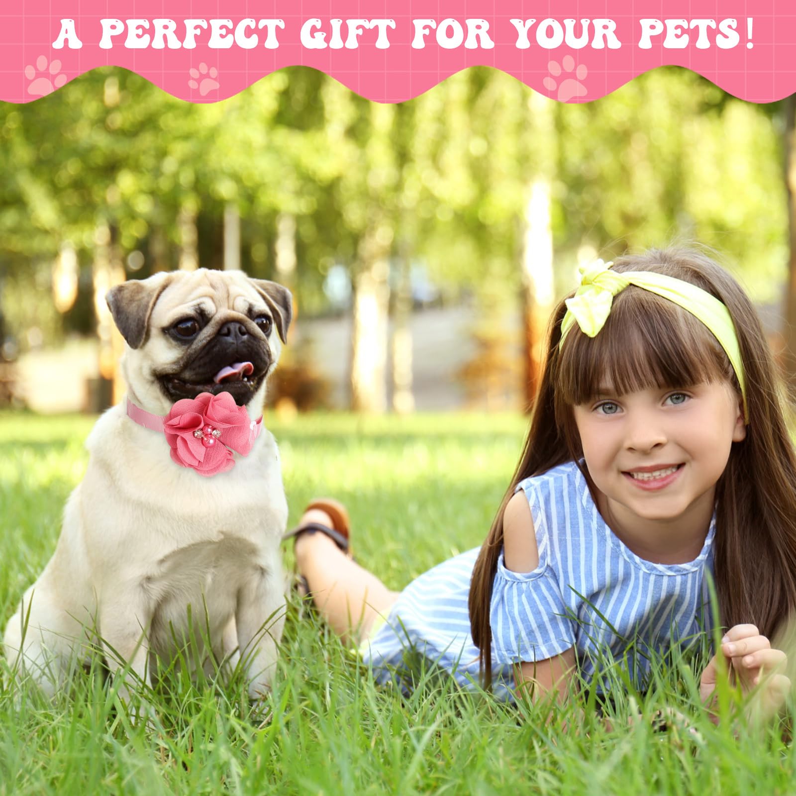 Reginary DIY costume collar offers creative customization for parties