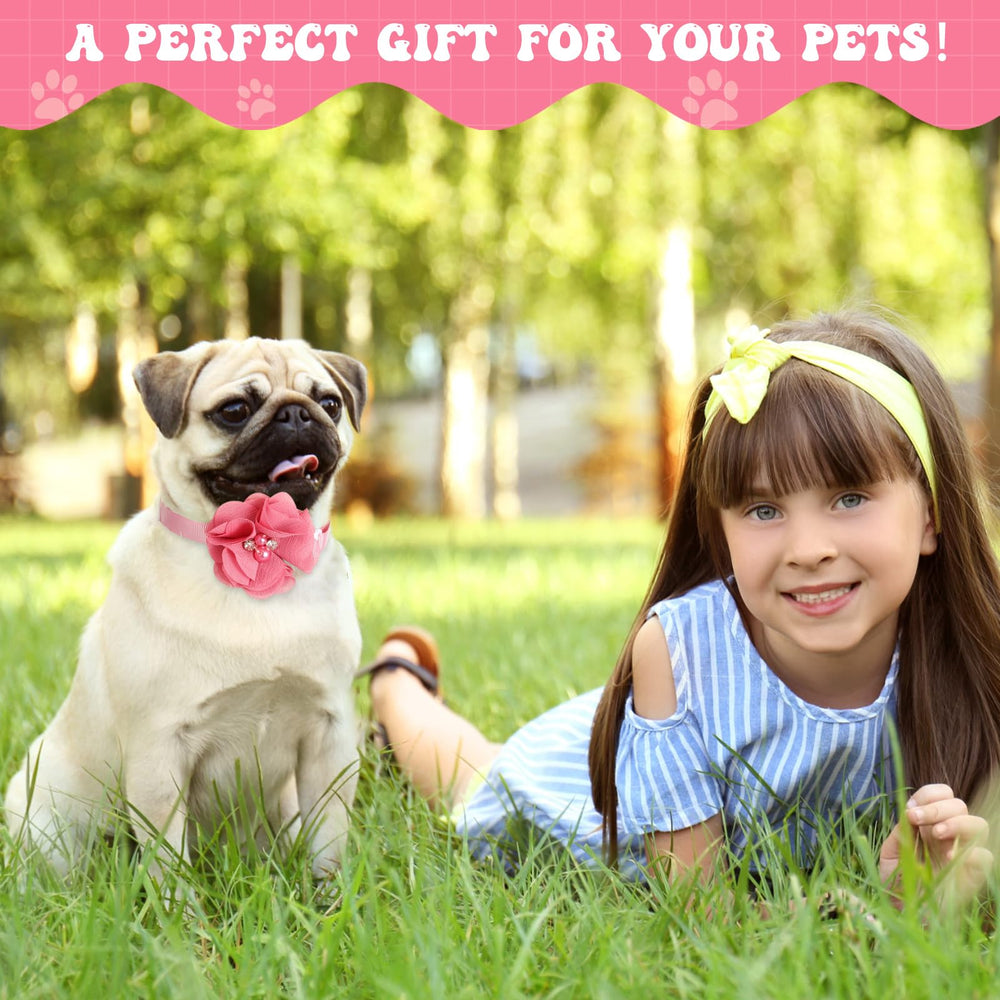 Reginary DIY costume collar offers creative customization for parties