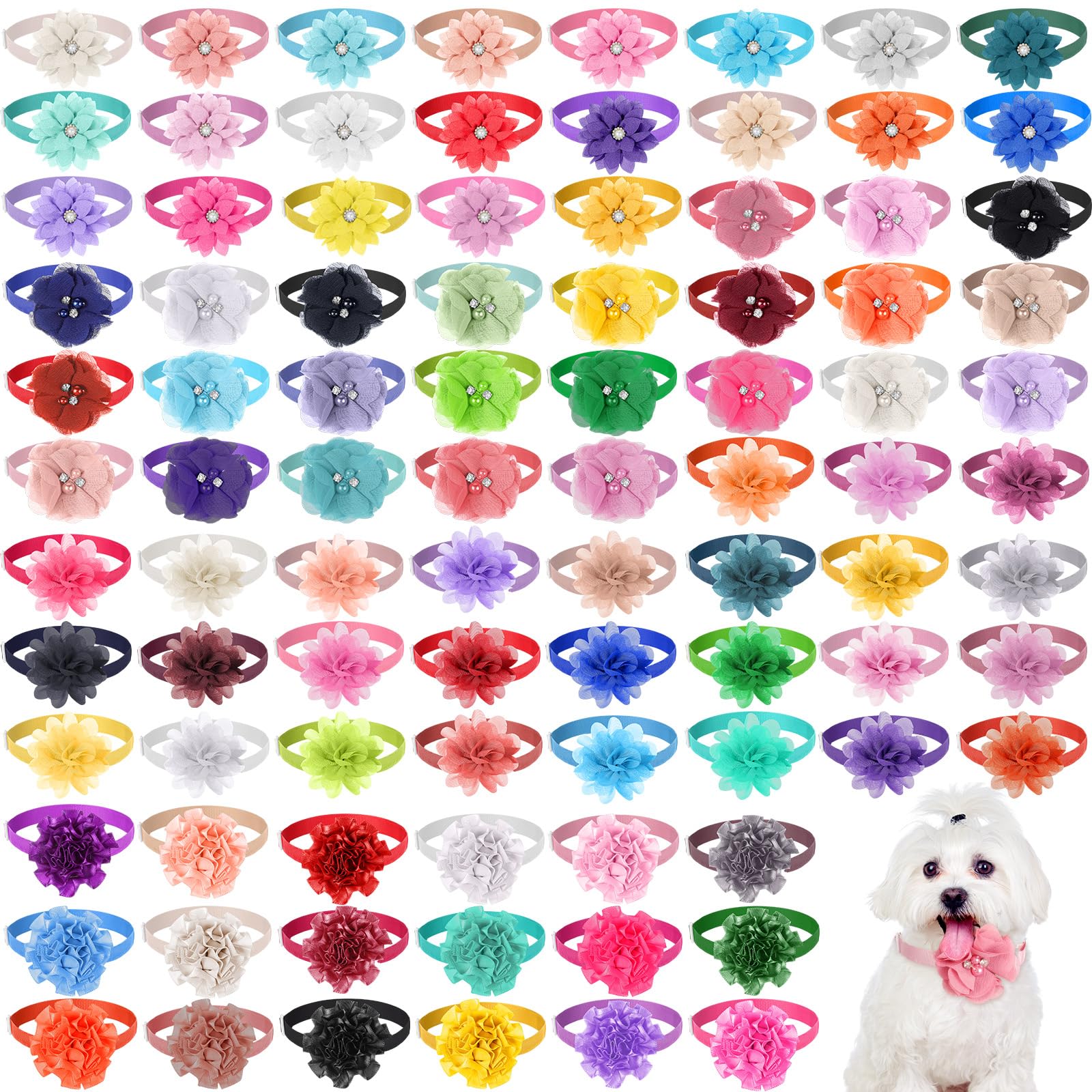 Reginary dog flower collar bouquet close-up, vibrant accessory for weddings and everyday charm