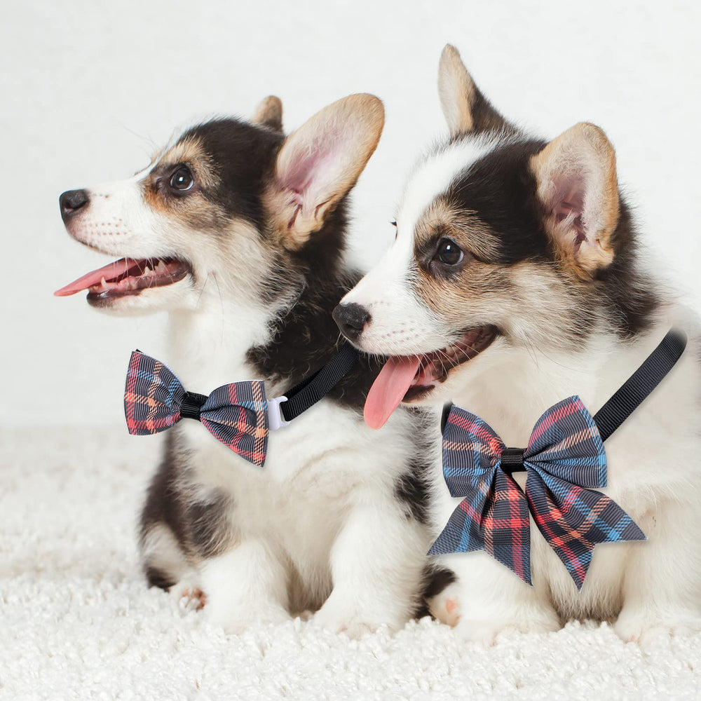 Reginary dog wearing bow tie for charming look