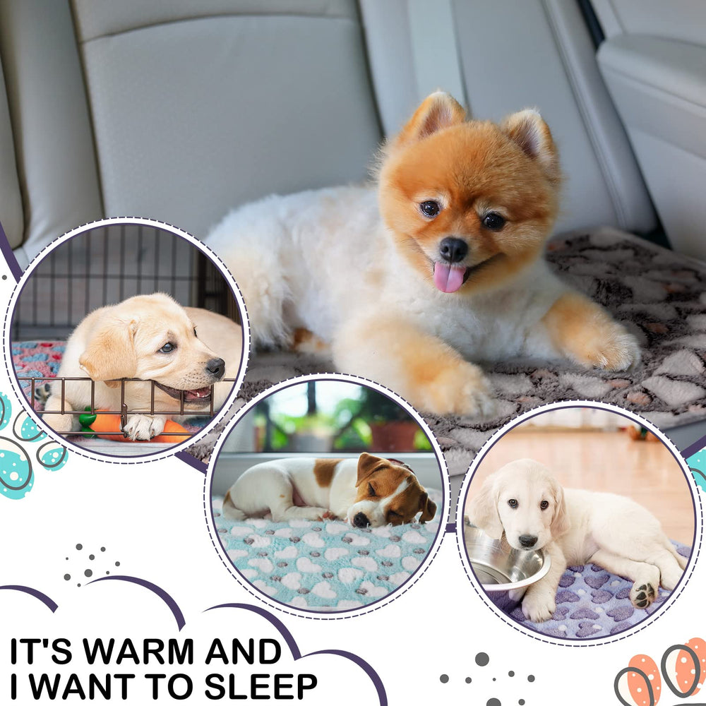 Reginary double-sided blanket used as a cage mat and sleeping pad.
