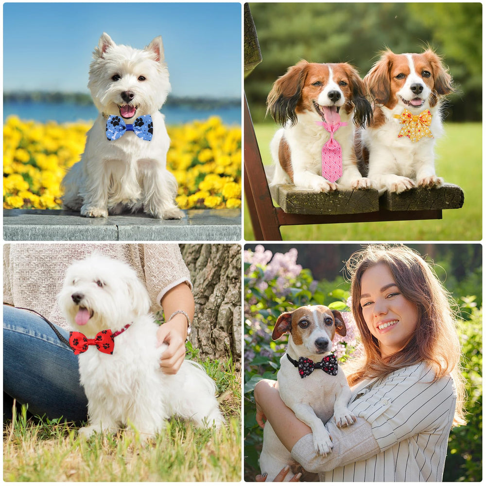 Reginary holiday paw theme gift pack for pets.