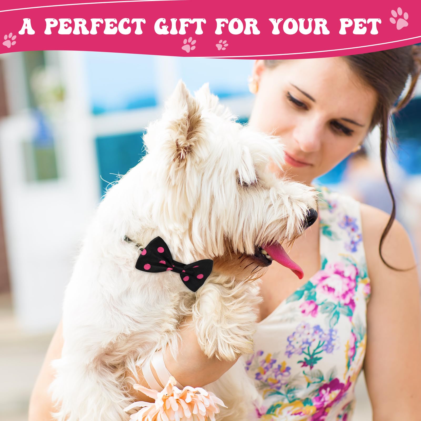 Reginary holiday pet accessories ensemble ready for photoshoots and events