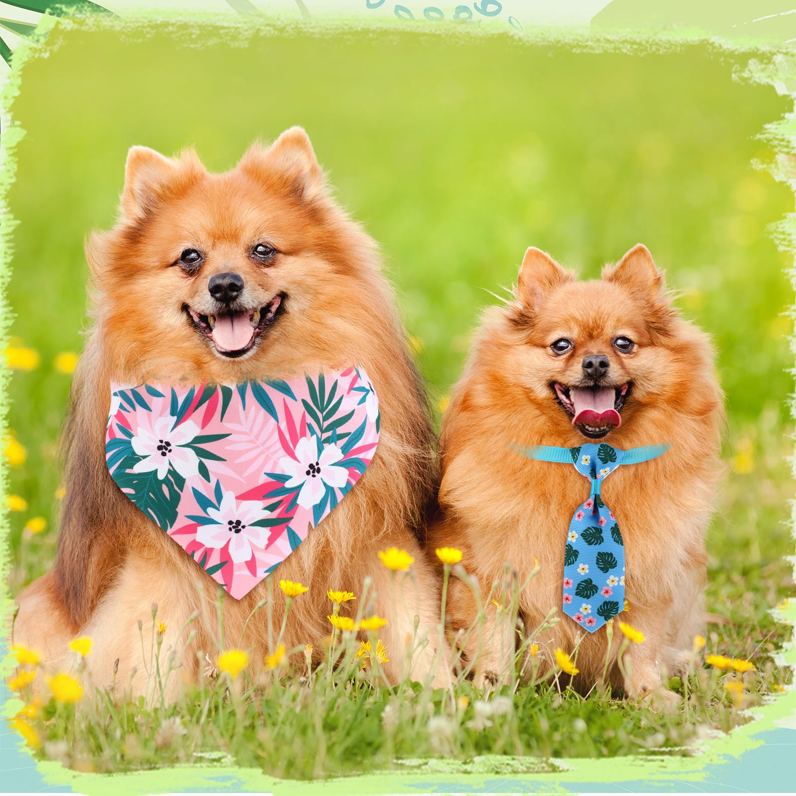 Reginary machine-washable accessories keep prints vibrant