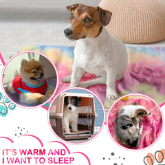 Reginary machine-washable guinea pig blanket for easy cleanup