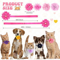 Reginary nylon chiffon material collar, soft and breathable for long wear