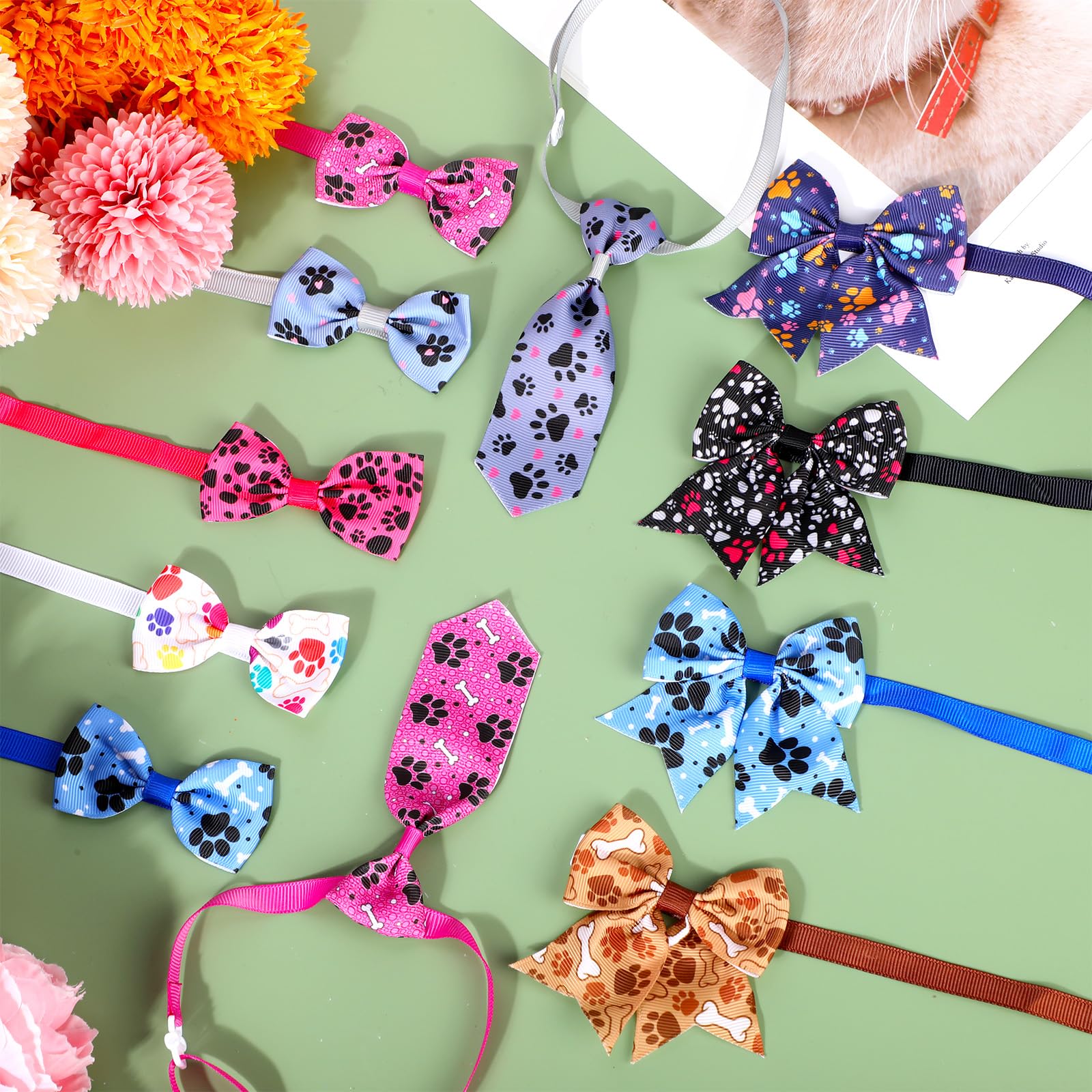 Reginary pet party looks collar set for cute photos.