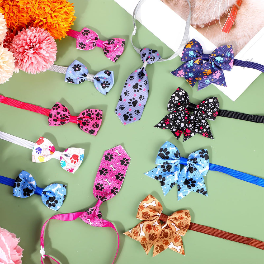 Reginary pet party looks collar set for cute photos.