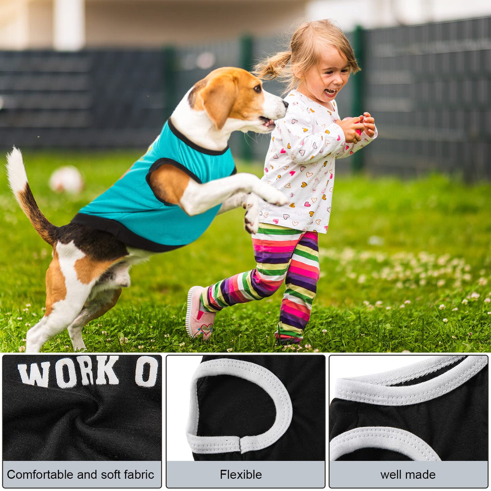 Reginary puppy outfits with bright prints enhance cute, charming appearances.