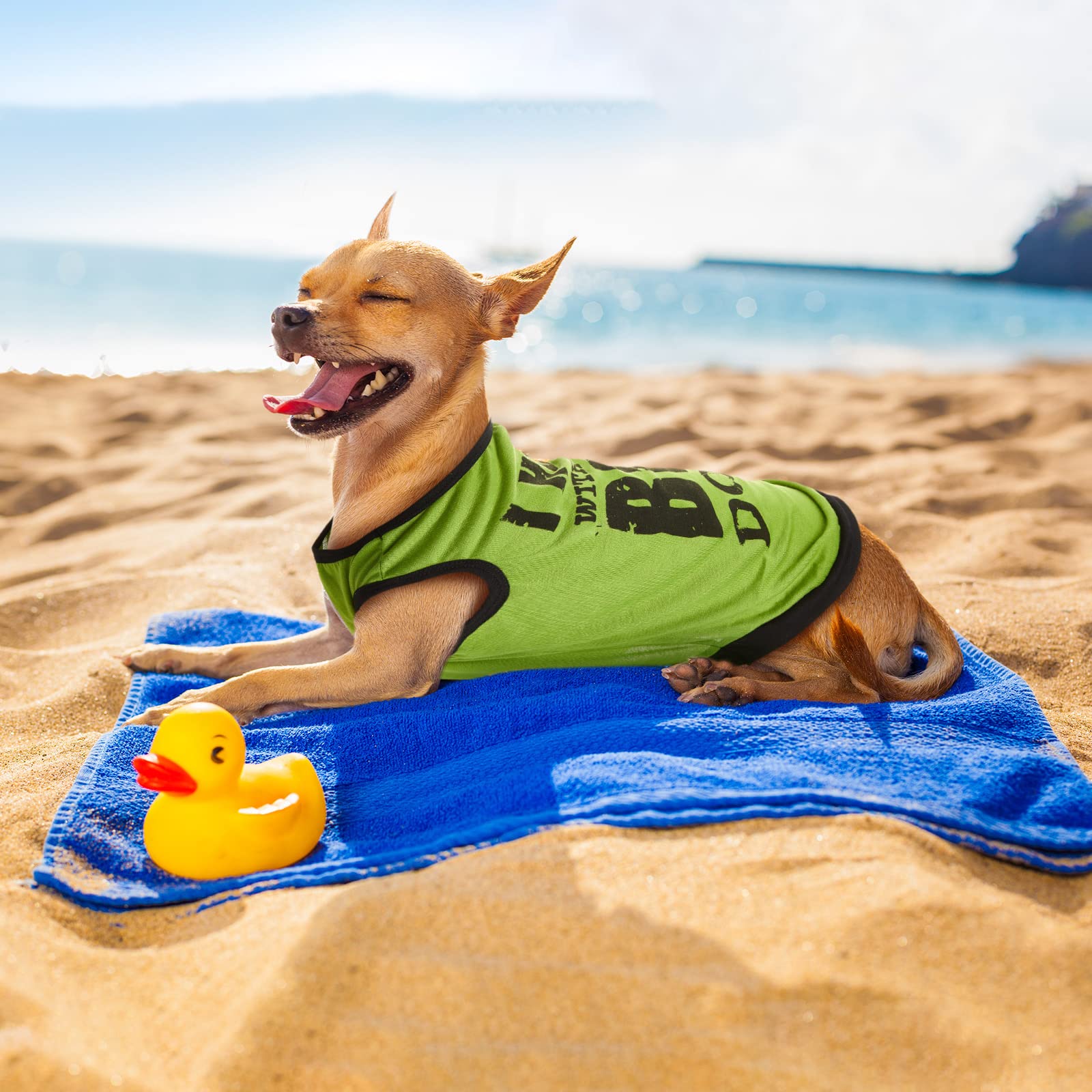 Reginary small and medium dog shirt ensures comfortable fit for daily wear.