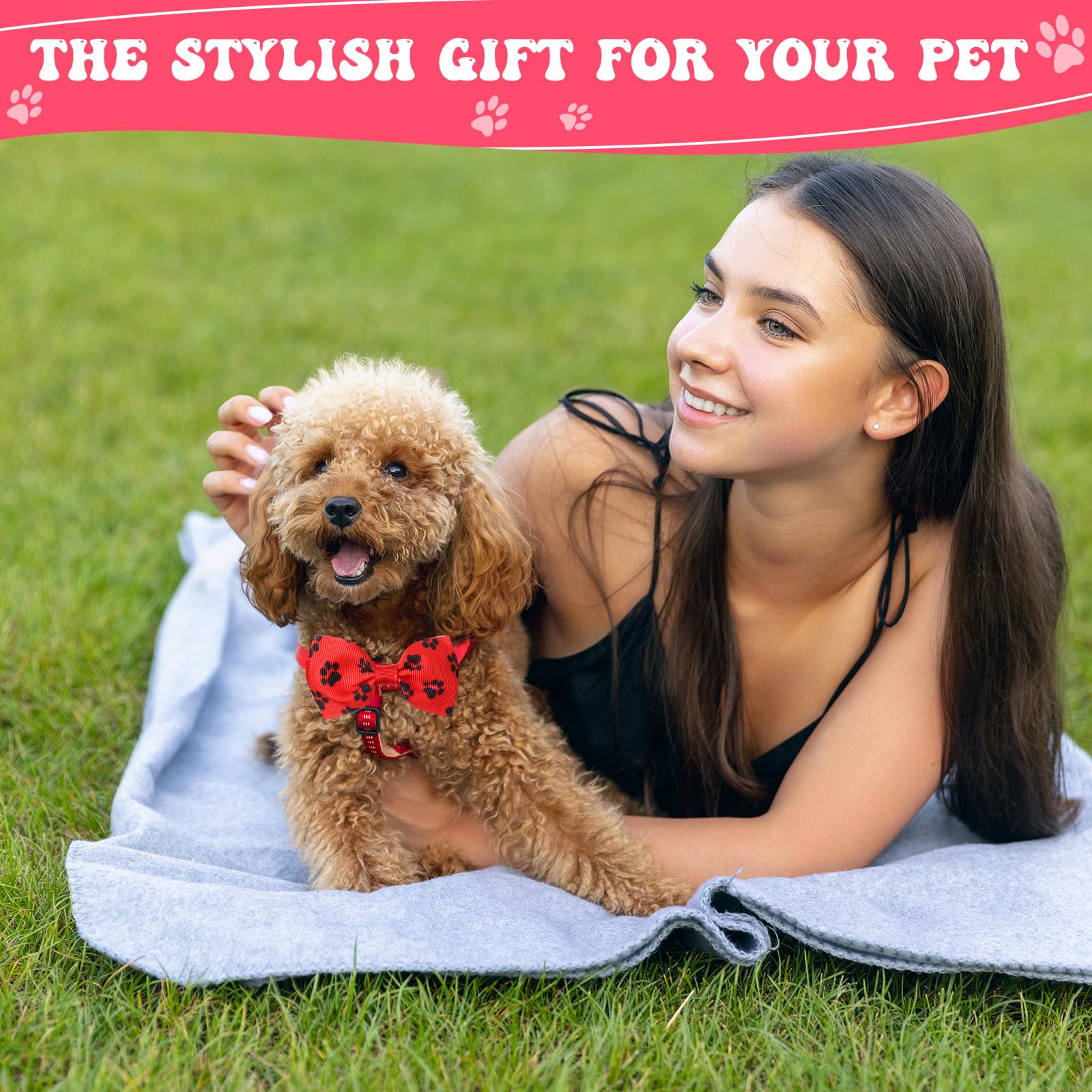 Reginary soft polyester pet collars are lightweight and breathable.
