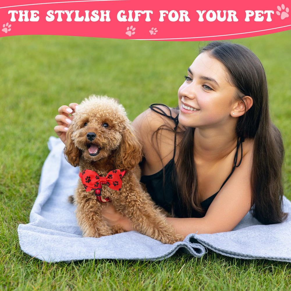 Reginary soft polyester pet collars are lightweight and breathable.