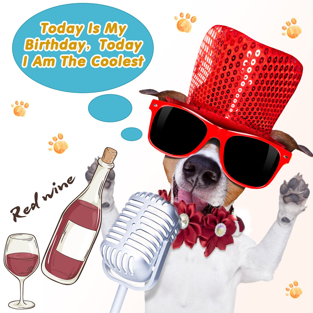 Reginary collars ideal for parties, photos, and daily wear.
