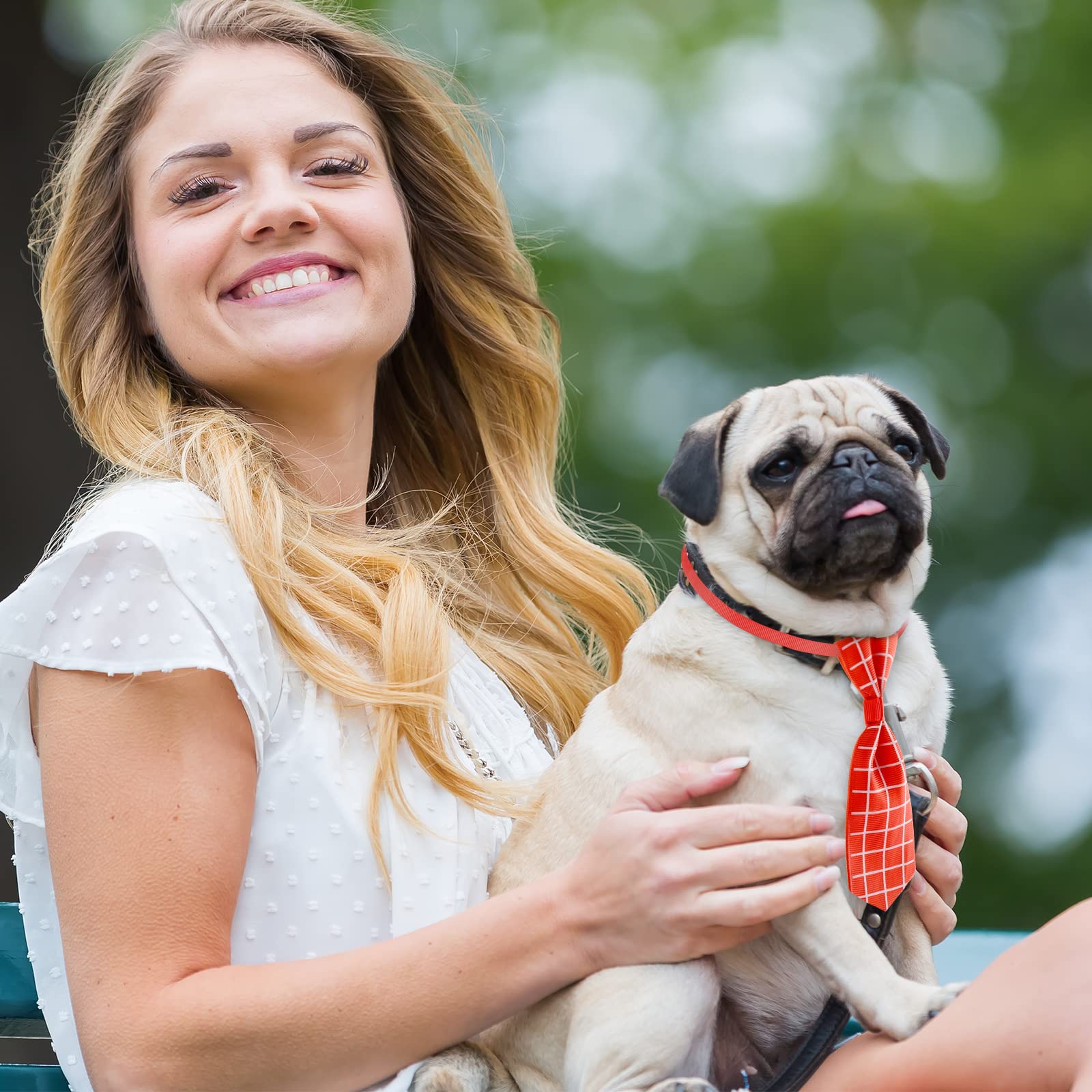 Reginary wedding and party looks help pets shine on occasions
