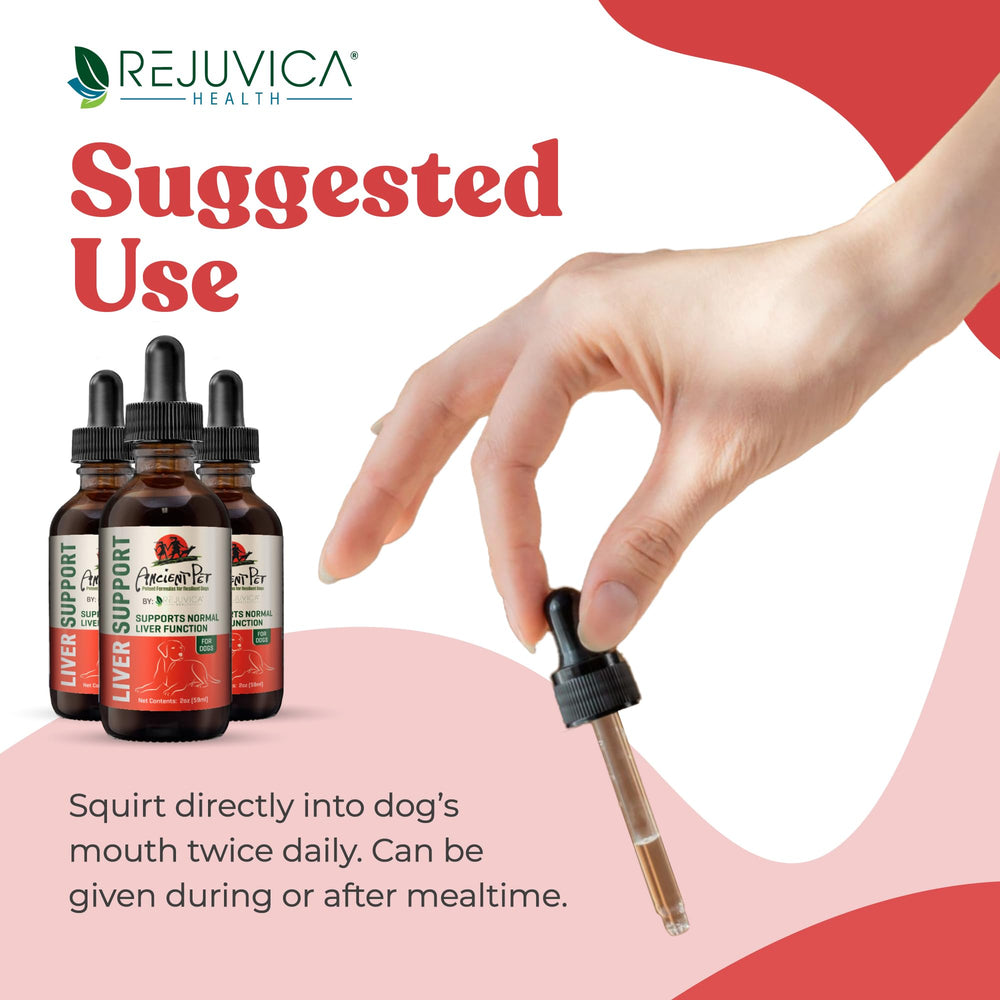 Rejuvica Health alcohol-free liquid formula preserves delicate herbs for pets