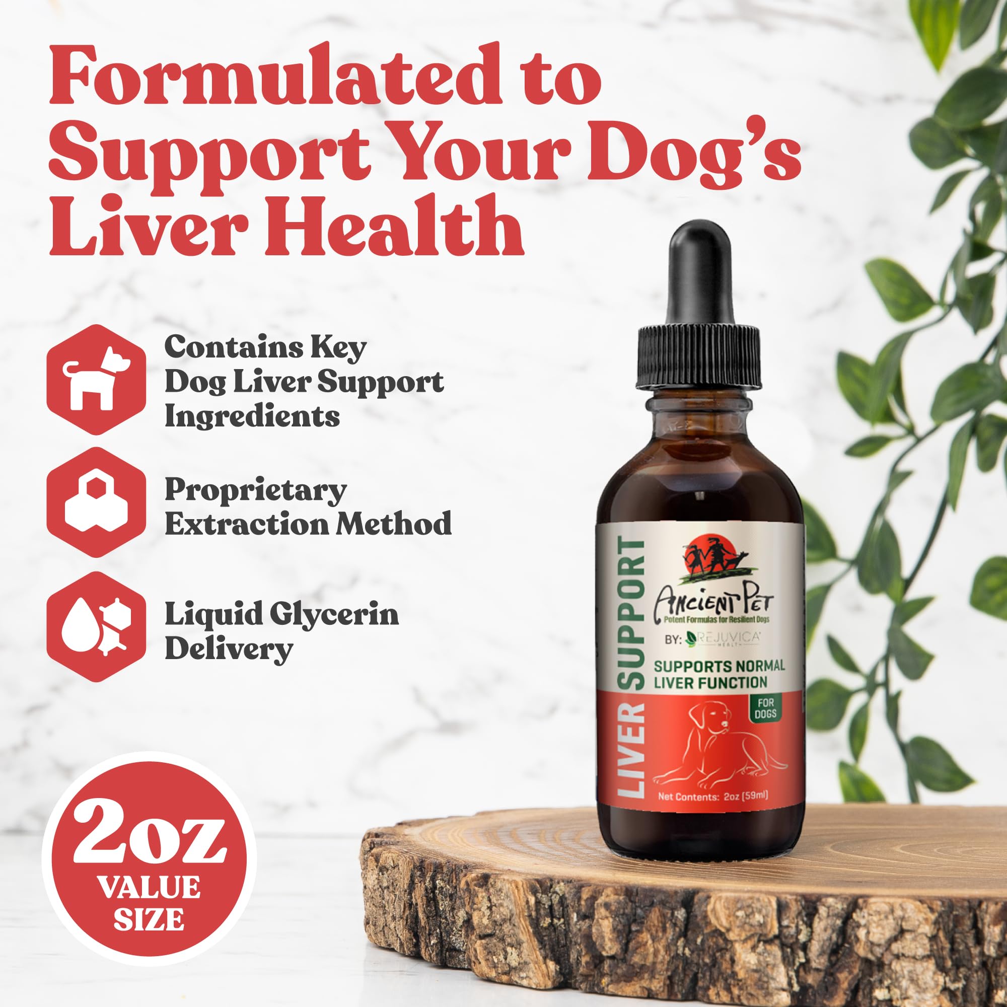 Rejuvica Health milk thistle dog dropper enables quick, easy dosing