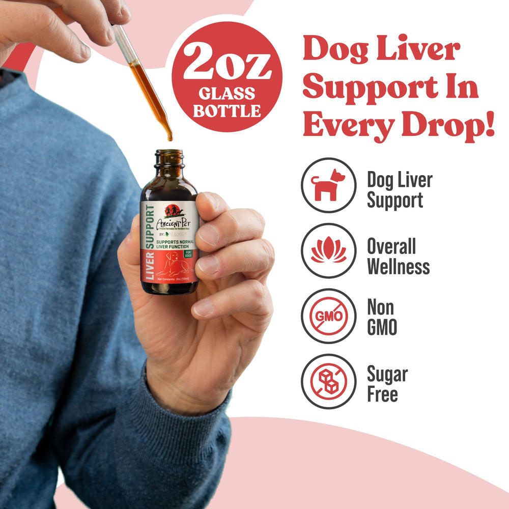 Rejuvica Health organic and wildcrafted sourcing for high-quality blends