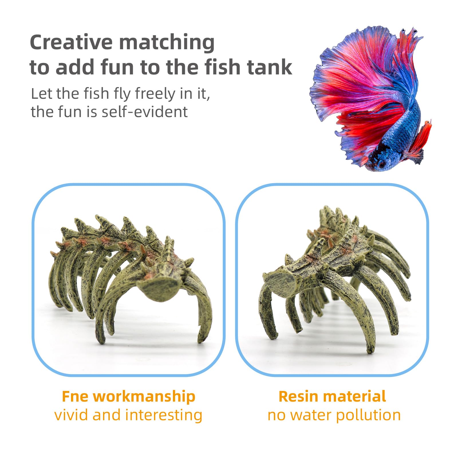 relaqcc aquarium swim-through chamber highlights depth and creates engaging routes for fish.
