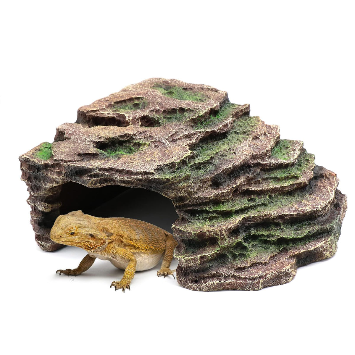 relaqcc large reptile hide shale scape step-ledge offers a roomy basking area for bearded dragons.