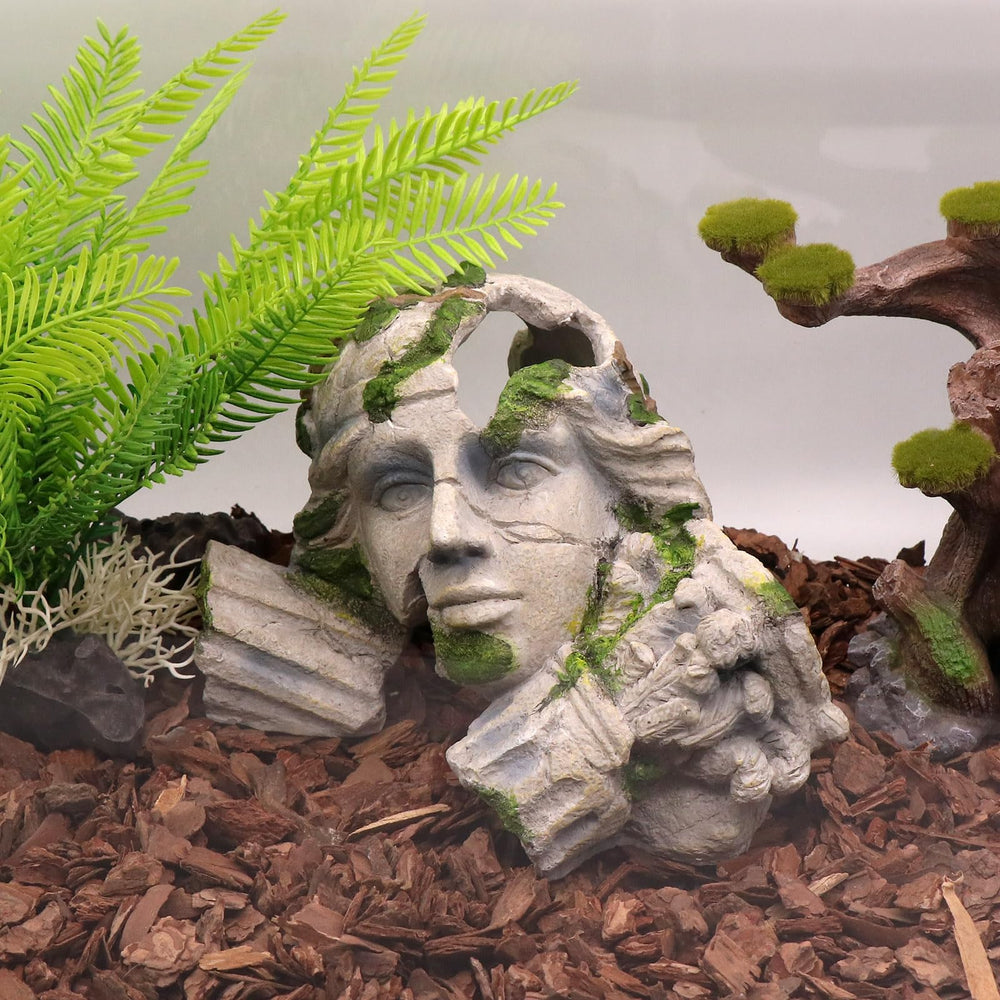 relaqcc Reptile Cave Hideout with axolotl for swim-through comfort