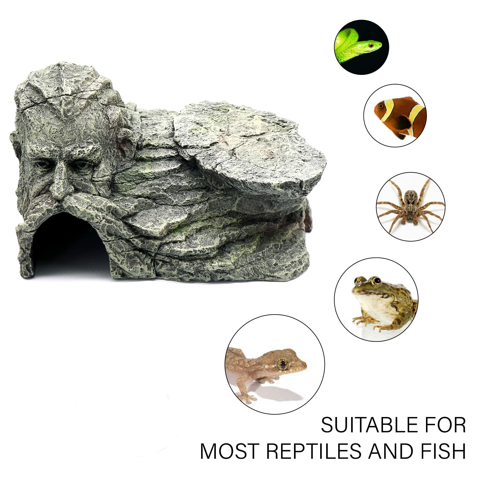 relaqcc Reptile Platform climbing and basking angle promotes active exploration