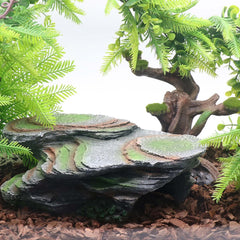 relaqcc Reptile Resting Terrace cave hideout provides secure retreat.