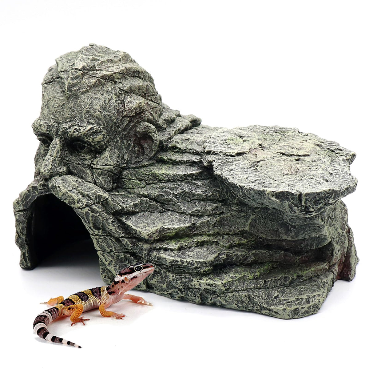 relaqcc Reptile Rock Basking Platform top view shows natural shelter for basking