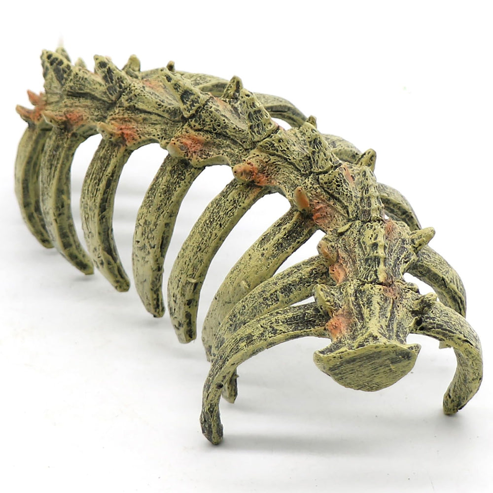 relaqcc skull swim-through ornament enhances tank scenery and provides a playful hideaway.