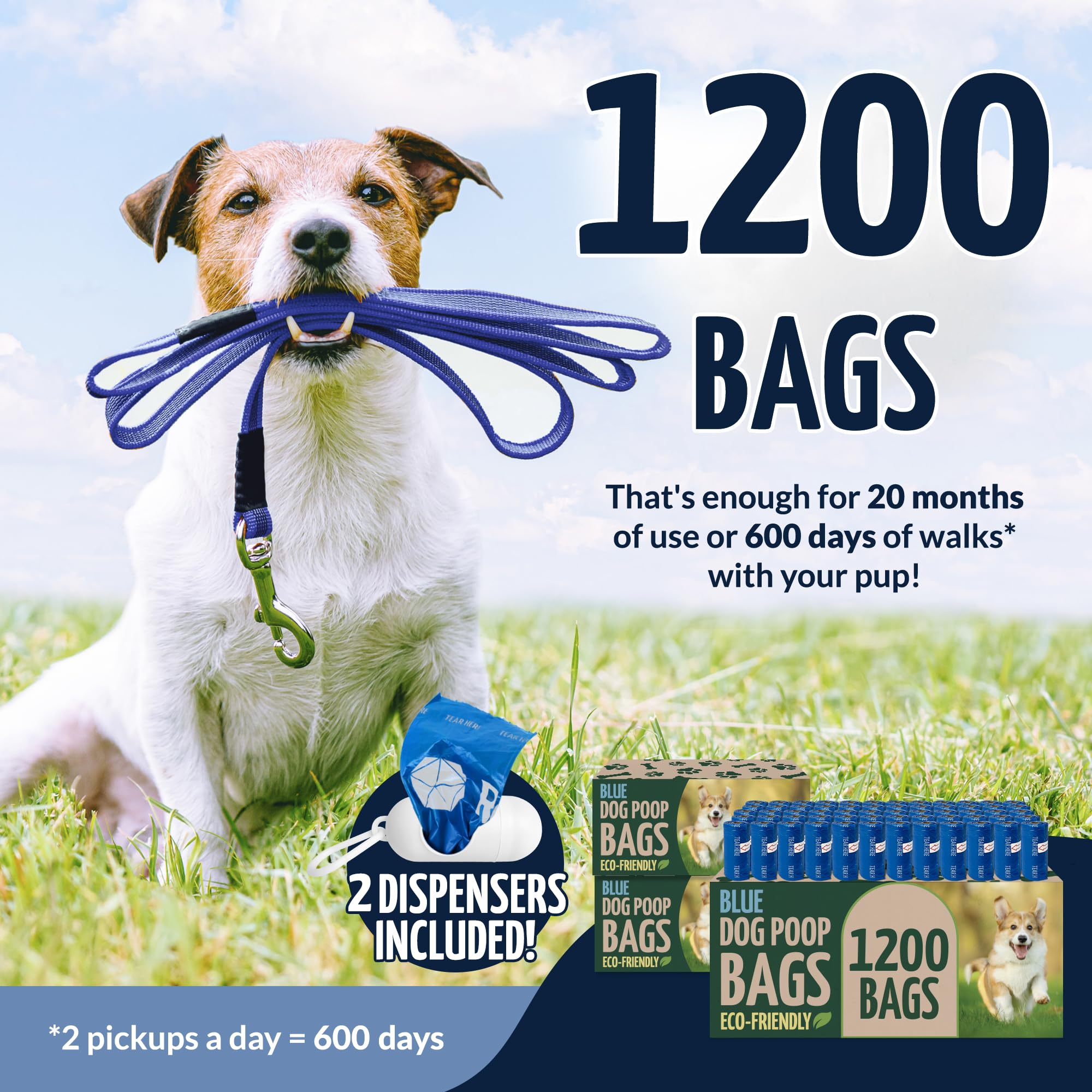 Reli oxobiodegradable poop bags, 80 rolls, 9x13 inches, ideal for daily park cleanup.