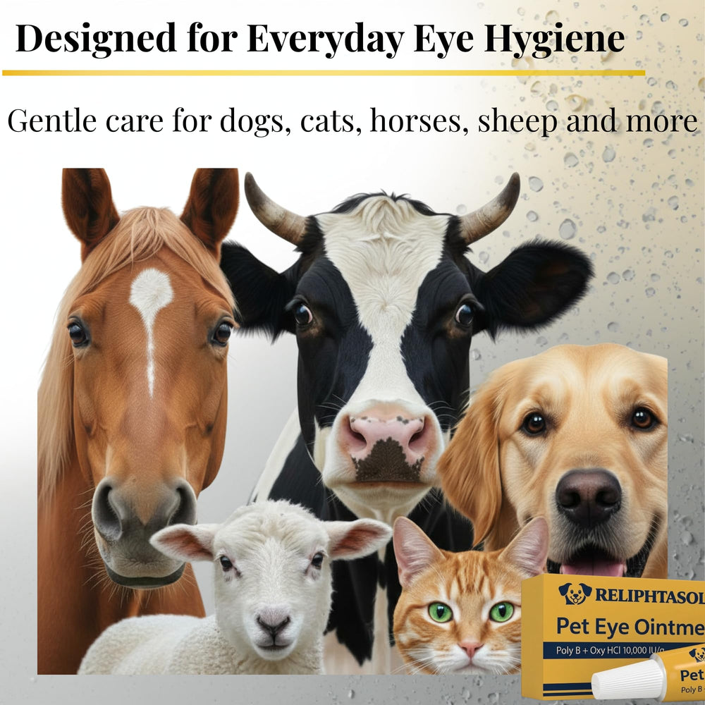 RELIPHTASOL daily eye-care routine for ongoing pet comfort.