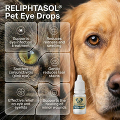 Dog eye area benefiting from RELIPHTASOL daily care.
