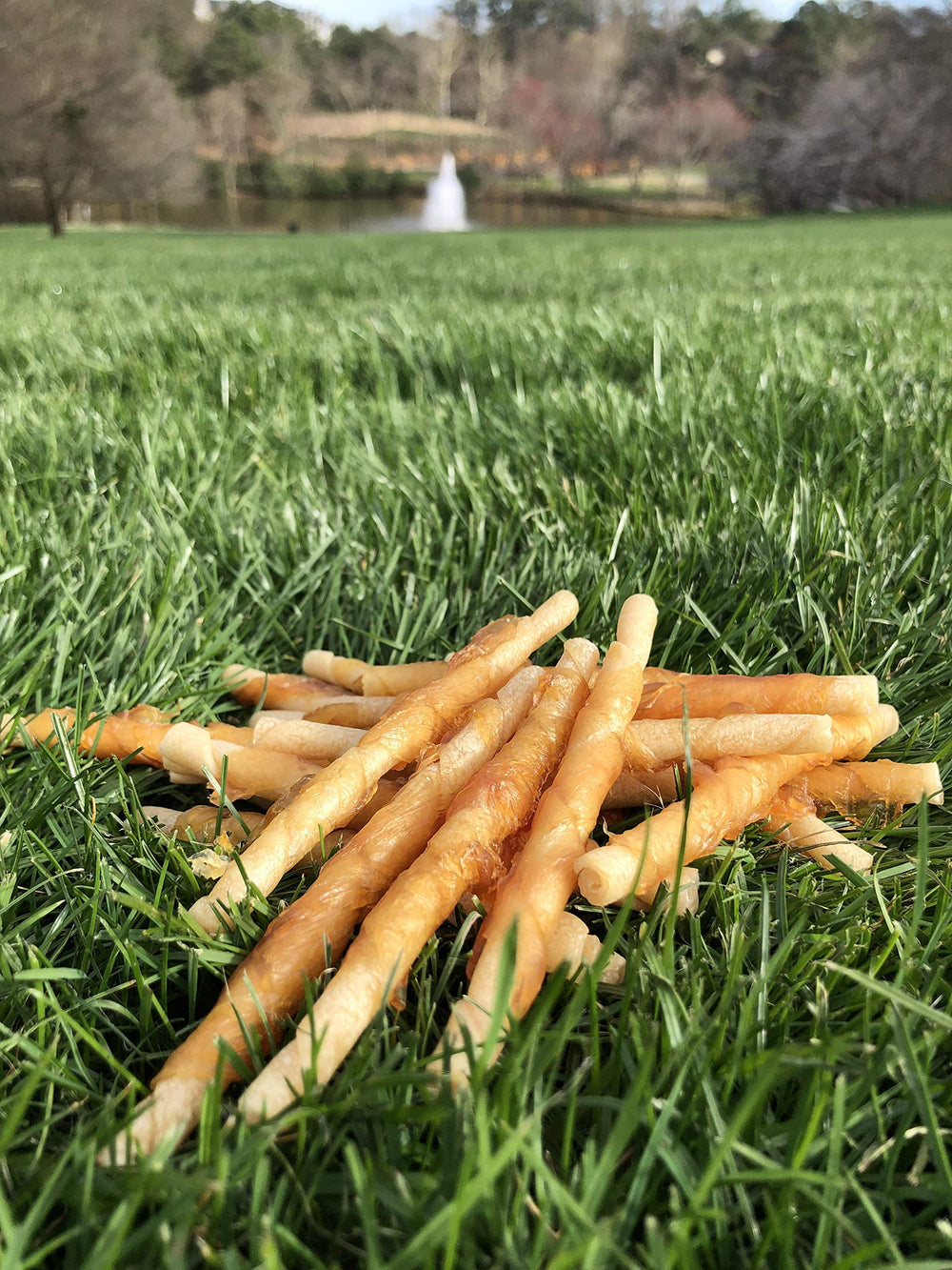 Rena's Recipe Chicken Twisty Sticks made with cage-free white chicken.