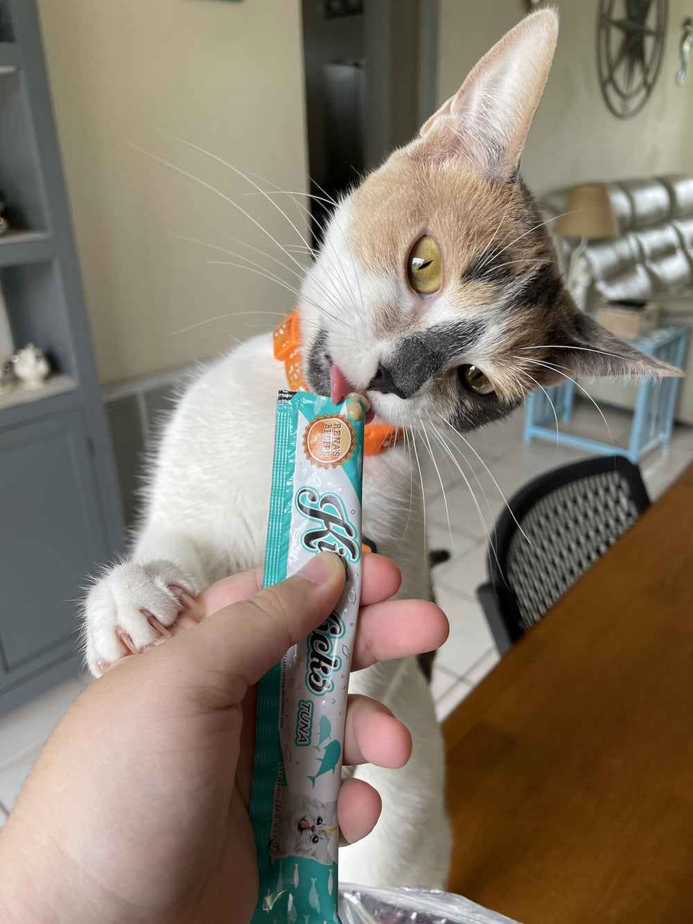Rena's Recipe Kitty Licks creamy texture close-up shows smooth lickable treats.