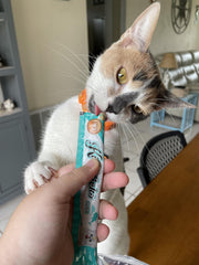 Rena's Recipe Kitty Licks creamy texture close-up shows smooth lickable treats.