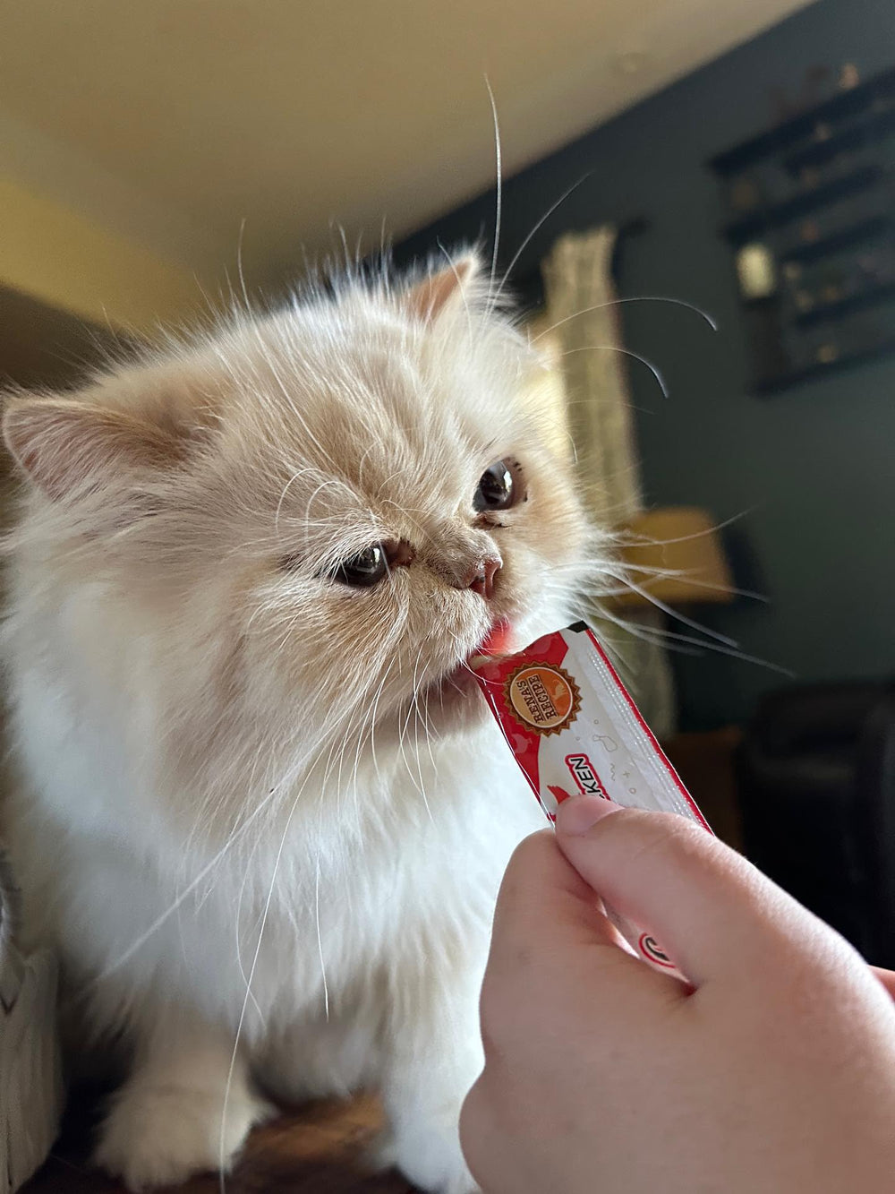 Rena's Recipe Kitty Licks chicken-tuna tube treat offers tasty variation.