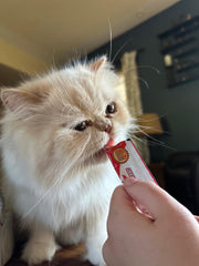 Rena's Recipe Kitty Licks chicken-tuna tube treat offers tasty variation.