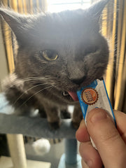 Rena's Recipe Tuna flavor close-up, a tasty enrichment option.