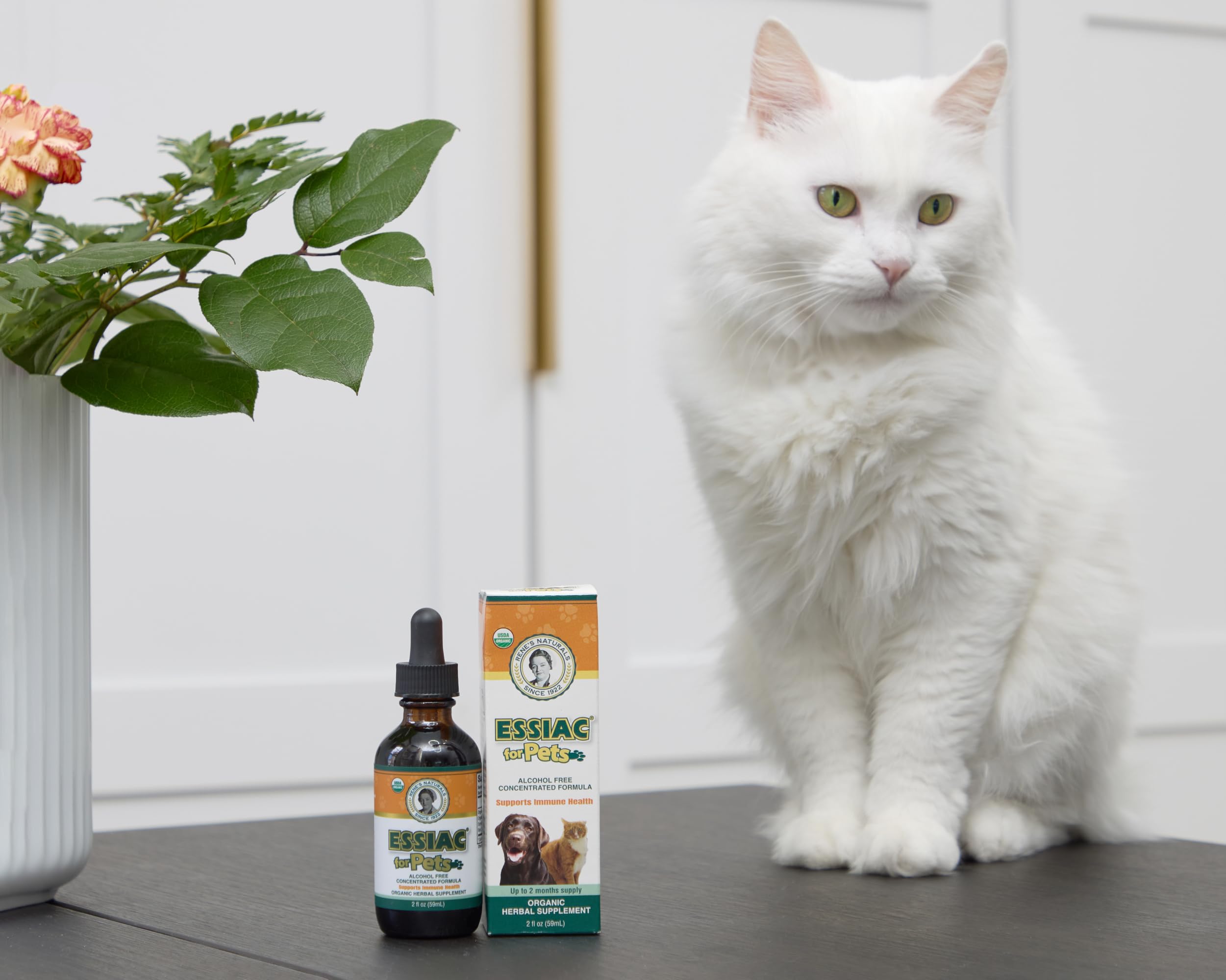 Rene's Naturals Essiac for Pets two-ounce bottle — compact, travel-friendly.