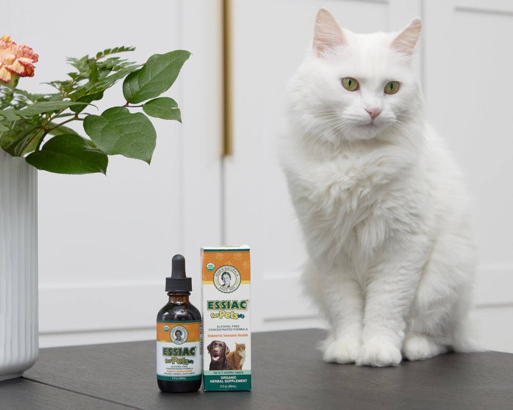 Rene's Naturals Essiac for Pets two-ounce bottle — compact, travel-friendly.