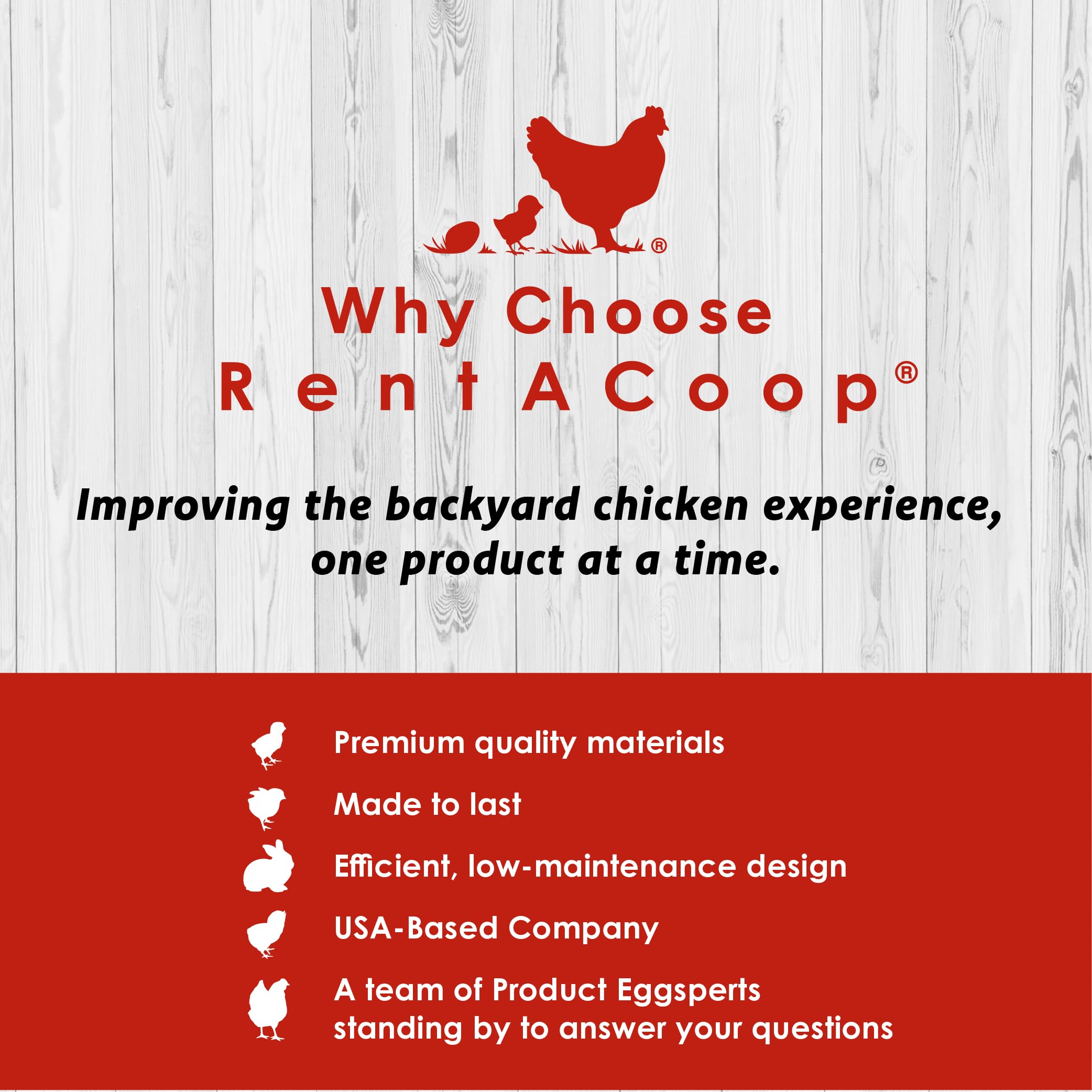 RentACoop Hatchling Liner in action shows simple disposal and replacement.